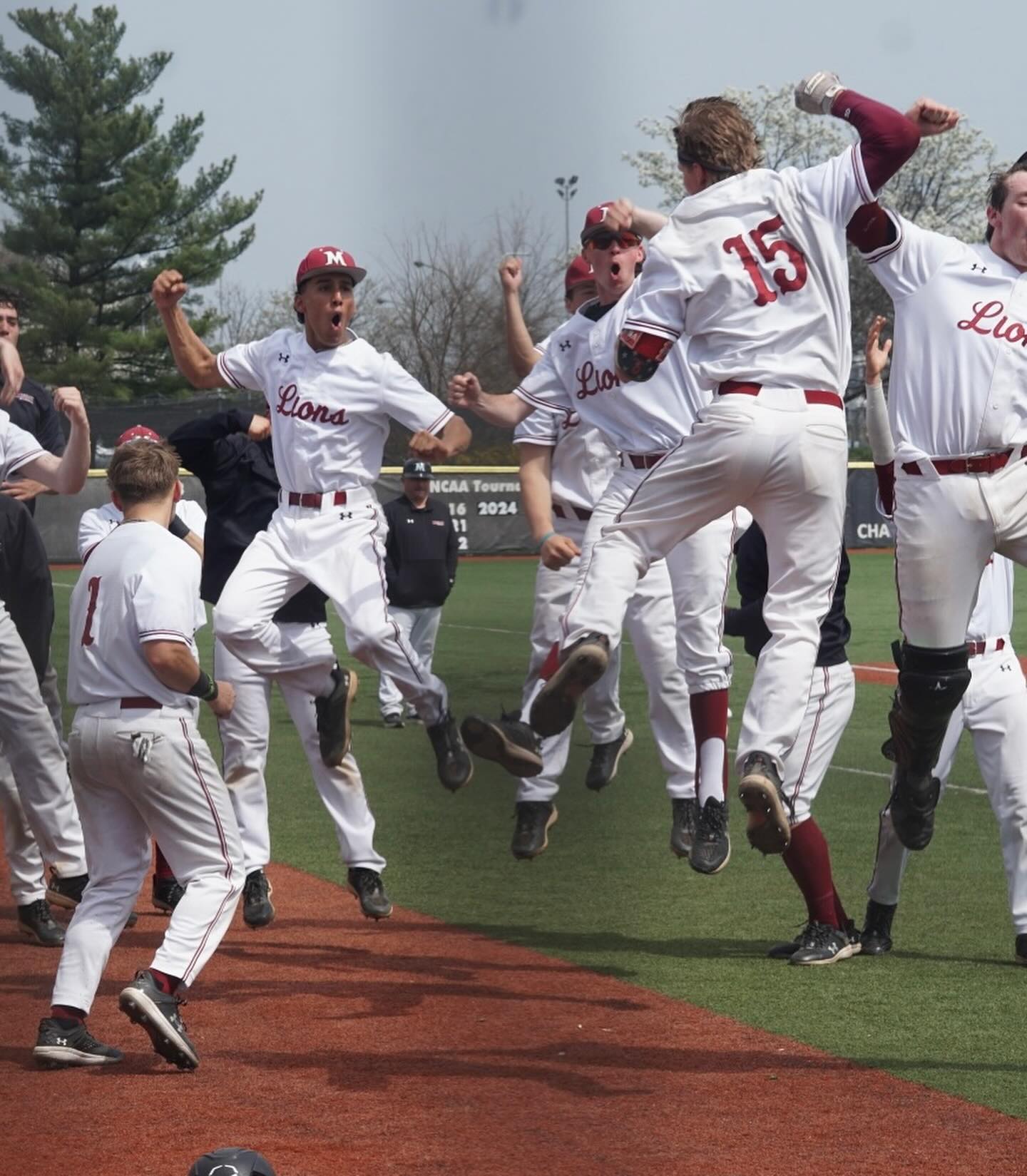 491441119_18337838221092141_354378745875130364_n